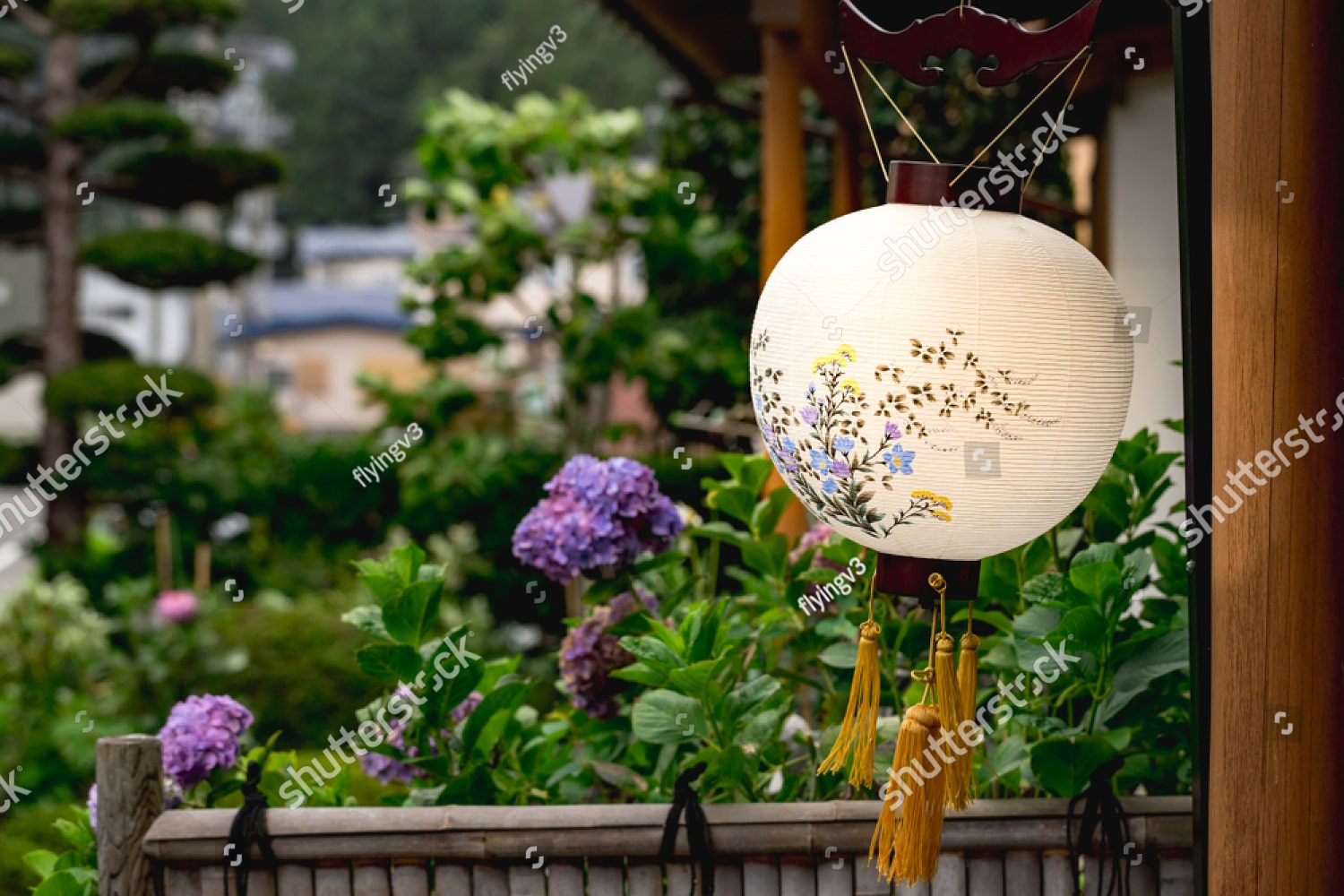 トップイメージ5